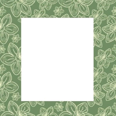 marco verde y  flores blancas. Montaje fotografico
