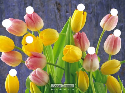 bébé tulipe Fotomontáž