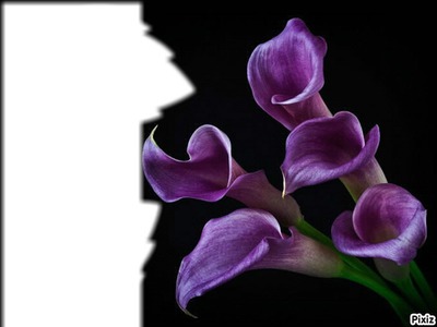 fleur Fotomontáž