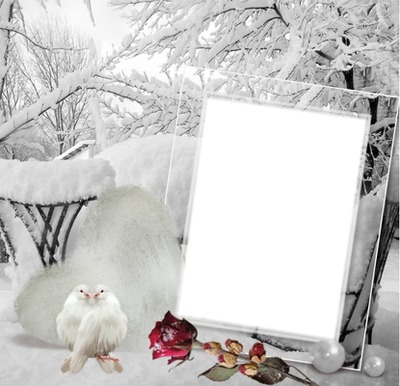 Noel blanc* Photo frame effect