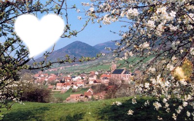 printemps en Alsace Photo frame effect