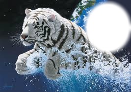 le tigre Fotomontaggio