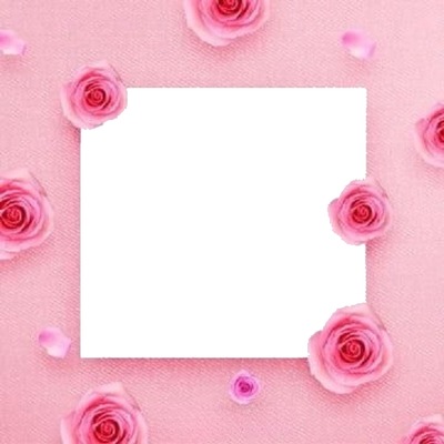 marco y rosas rosadas. Fotomontaža
