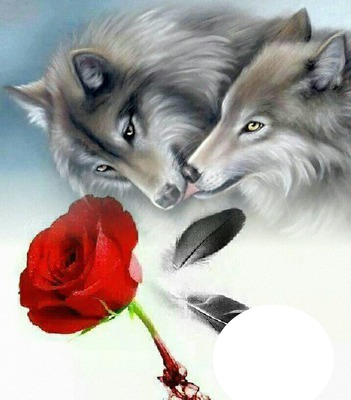 love wolves Valokuvamontaasi
