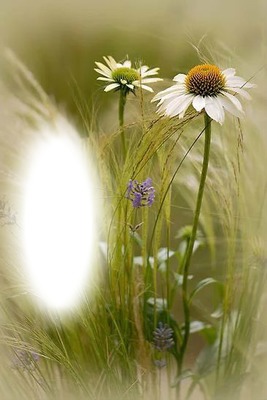 flower Фотомонтажа