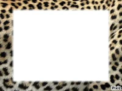 Cadre léopard Photo frame effect