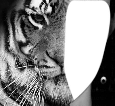 Tigre Fotomontáž
