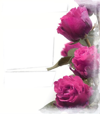 Rose Fotomontagem