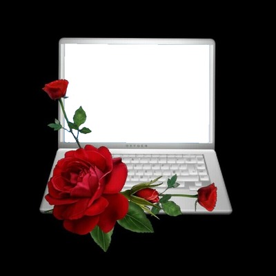 rosa roja sobre laptop. フォトモンタージュ