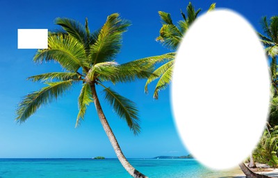 Palm beach Fotomontage