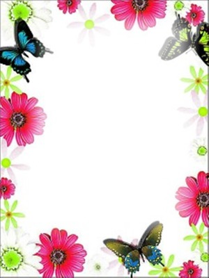 border borboleta Fotomontage