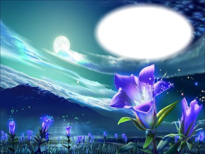 Fleur mauve - clair de lune Photomontage