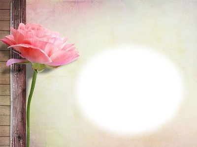 Rose-fleur Photo frame effect