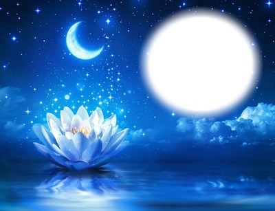 Fleur de lotus-nuit-lune-étoiles