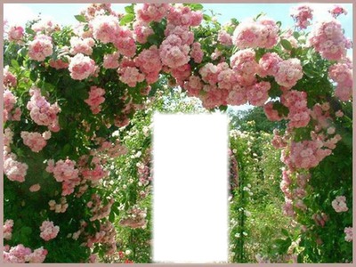arche de roses Photomontage