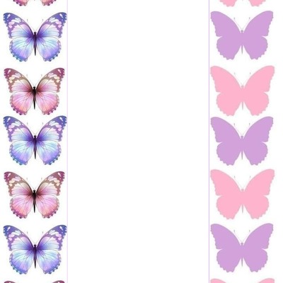 marco mariposas. Montage photo