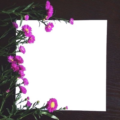 marco y flores violeta. Fotomontaža