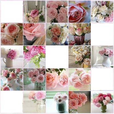 Roses rose Montaje fotografico
