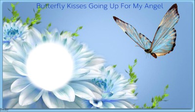 BUTTERFLY KISSES Fotomontasje