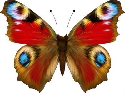 papillon Fotomontaż