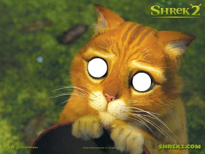gato de shrek Fotomontagem