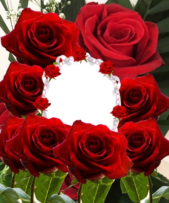 Cc Mas rosas rojas Fotomontage