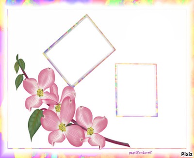 ****cadres flowers**** Photo frame effect
