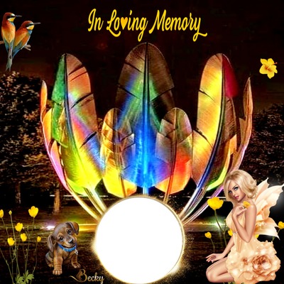 in loving memory picture editor online