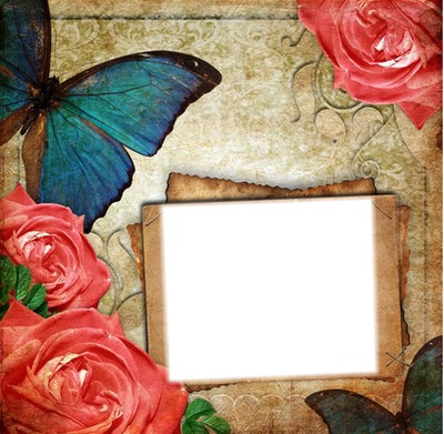 Mariposa y flores Montaje fotografico