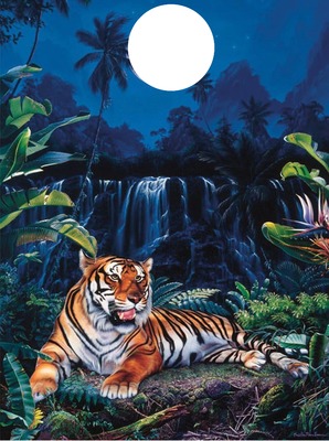 tigre 011 Φωτομοντάζ