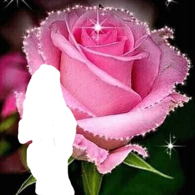 renewilly foto sobre rosa Fotomontage