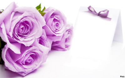 violeta Fotomontage