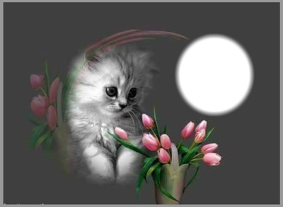 kitten with roses Фотомонтаж
