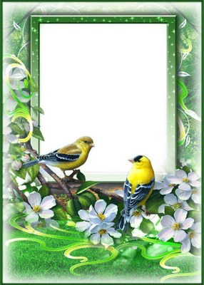 Cadre-oiseaux-fleurs Фотомонтаж
