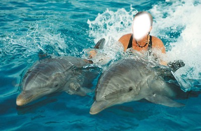 nager aves les dauphins Photomontage