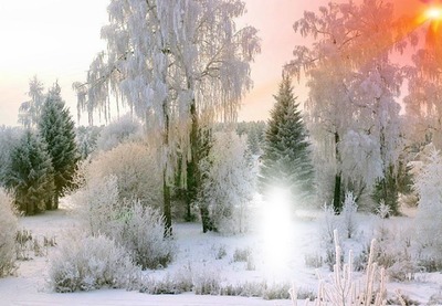зимний лес Фотомонтажа
