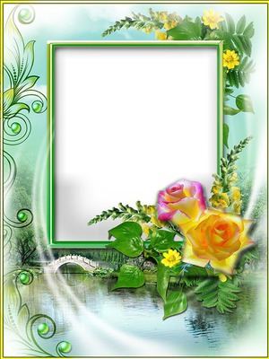 Cadre-roses Photo frame effect