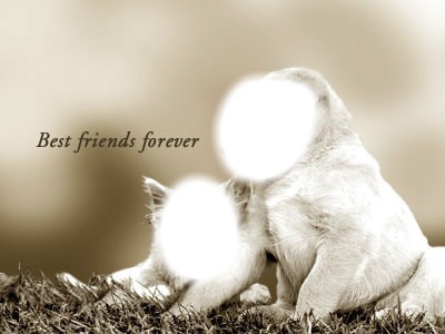 best friends animals Fotomontage