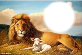 lion and lamb Photo frame effect