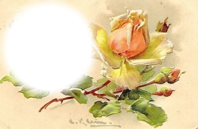 rose jaune Photomontage