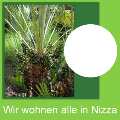 NIZZA Fotomontage
