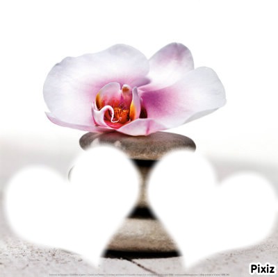 love  orchidee Photo frame effect