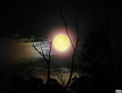 Noche de Luna Fotomontaža