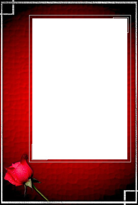 cadre rouge avec rose Φωτομοντάζ