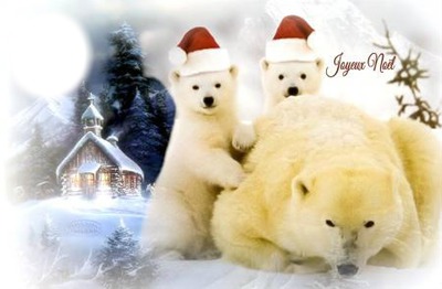 ours christmas Montage photo
