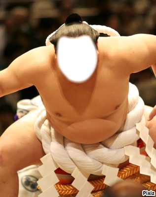 Sumo フォトモンタージュ