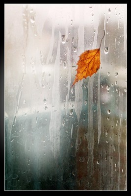 дъжд Photo frame effect