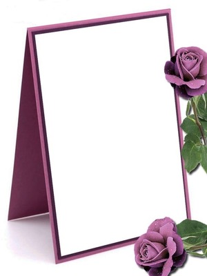 marco y rosas lila Fotomontaža