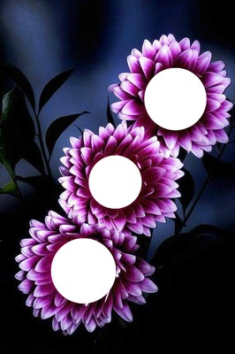 trio de fleurs Фотомонтаж