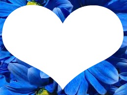 coeur fleur bleu 1 フォトモンタージュ